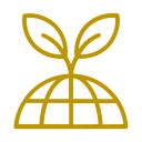 Icon Box