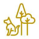 Icon Box